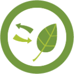 Important forest factors